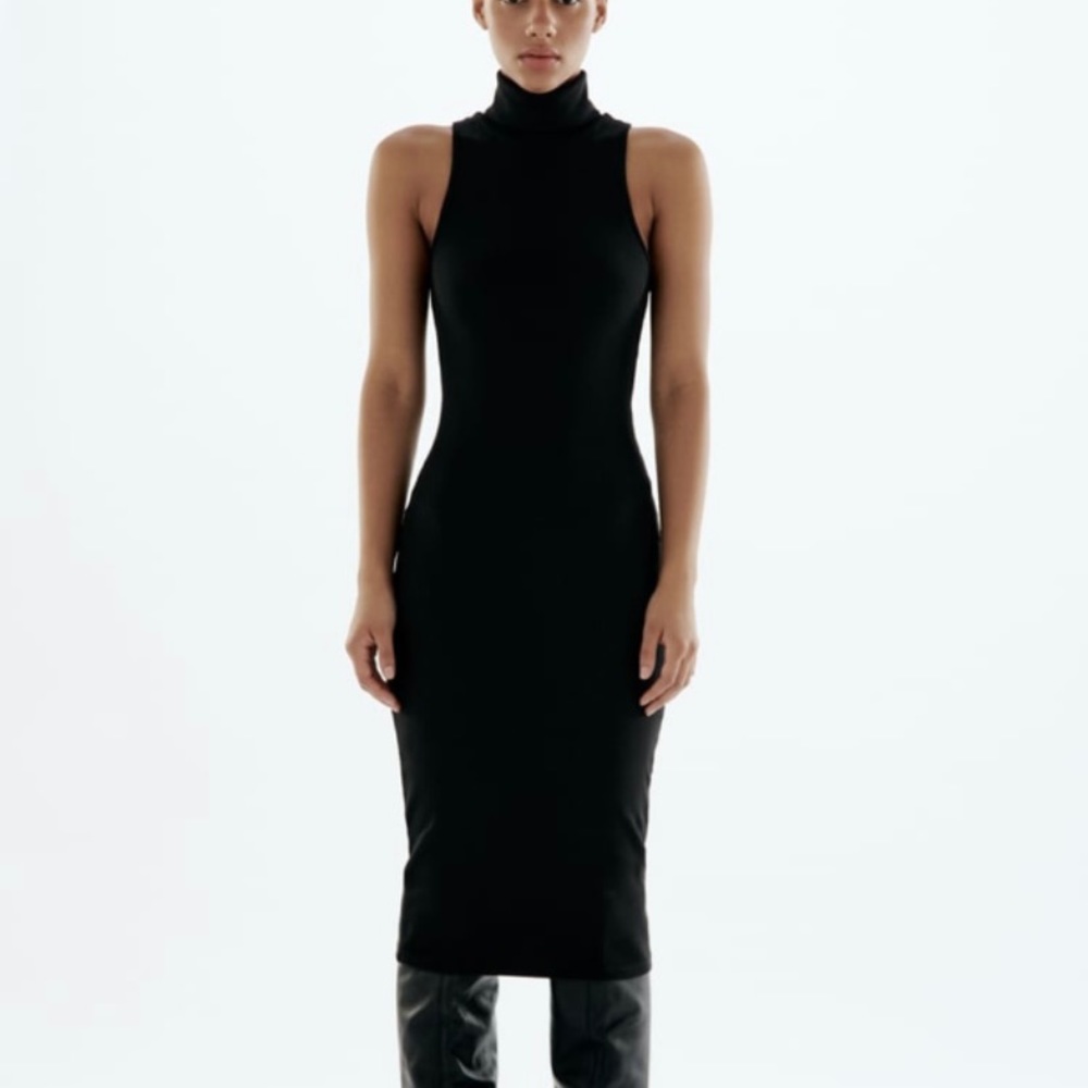 Zara Dress